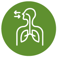Vie Respiratorie