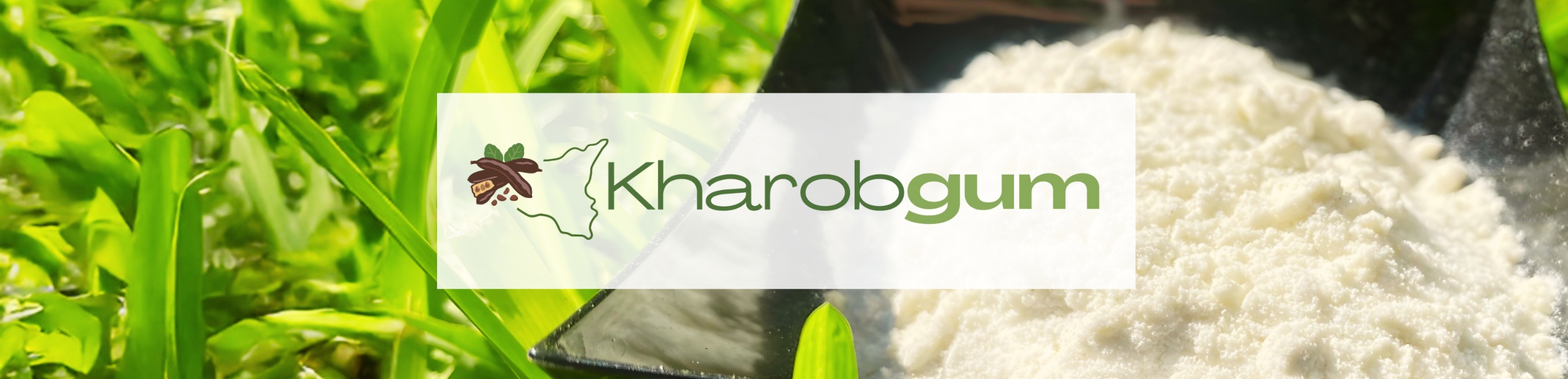 Kharobgum