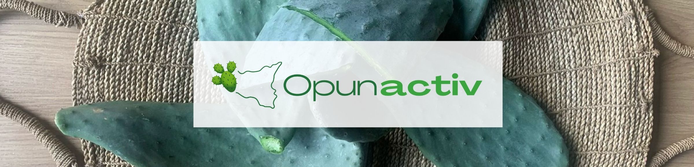 OpunActiv